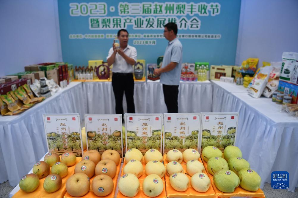 星光娱乐棋牌